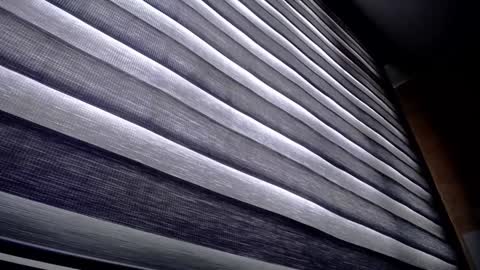 Palmer online show from 12.09.24