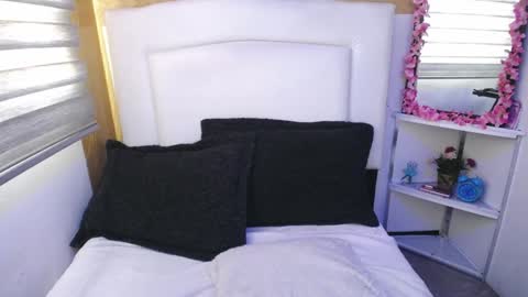 Palmer online show from 01.11.25