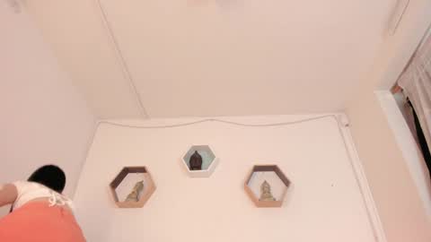 Paloma  online show from 01.21.25