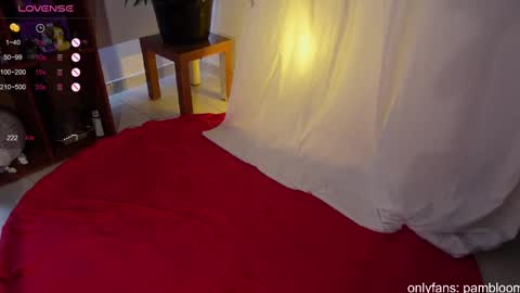     online show from 03.08.25