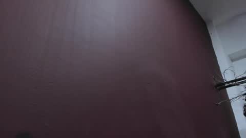 Snapshot of pamelaascott chatting on 10.19.25 P A M online show from 10.19.25