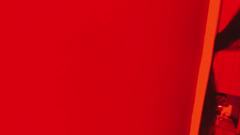 Snapshot of pamelaascott chatting on 11.16.25 P A M online show from 11.16.25