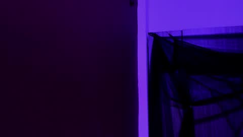 Snapshot of pamelaascott chatting on 11.23.25 P A M online show from 11.23.25