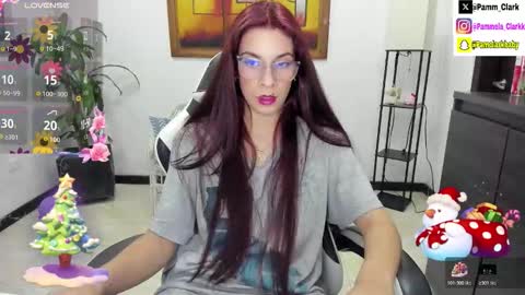 pammela clark online show from 11.06.25