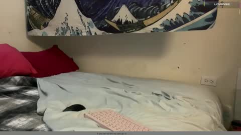 PantsLessTraveler online show from 12.16.25