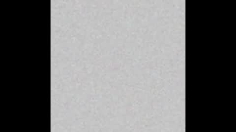 Paola Williams online show from 11.13.25