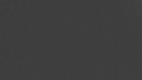 papilos25 online show from 01.22.25