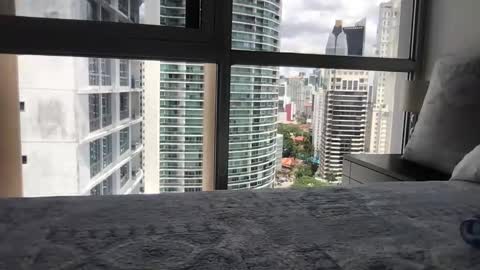 Paradise Bird01 online show from 03.15.26