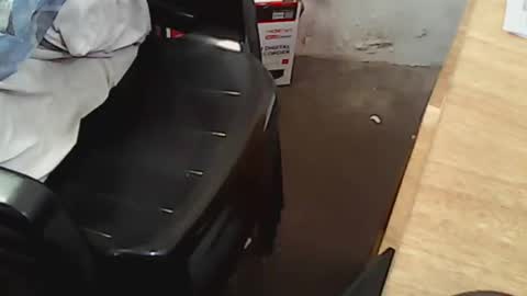 Snapshot of pareja201722 chatting on 12.14.24 pareja201722 online show from 12.14.24