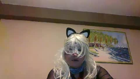 aventuras en pelotas online show from 03.12.25