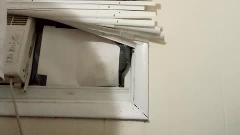 Snapshot of pato0008 chatting on 12.17.24 JD online show from 12.17.24