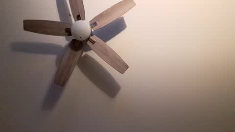 Snapshot of patrick247288 chatting on 09.09.25 patrick247288 online show from 09.09.25