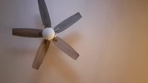 patrick247288 online show from 11.16.25