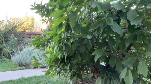 Andreea online show from 09.16.25