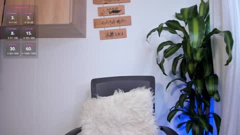 paula online show from 01.07.25