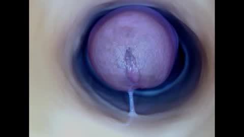 Paula 18 Aninhos online show from 12.15.25