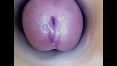 Paula 18 Aninhos online show from 02.20.26