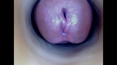 Paula 18 Aninhos online show from 03.01.26