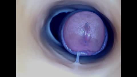 Paula 18 Aninhos online show from 04.02.26