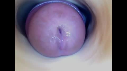 Paula 18 Aninhos online show from 04.15.26