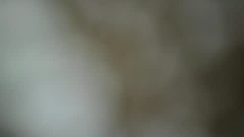 Snapshot of paulasmithph chatting on 11.17.25 paulasmithph online show from 11.17.25