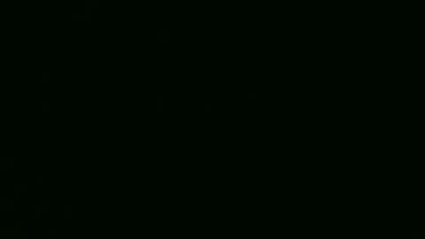 PaulCongo online show from 04.22.26