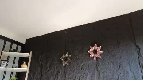 Paulo online show from 01.17.26