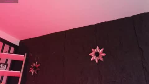 Paulo online show from 02.05.26