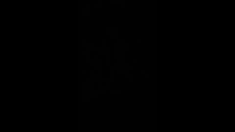 paulobascet online show from 12.02.24