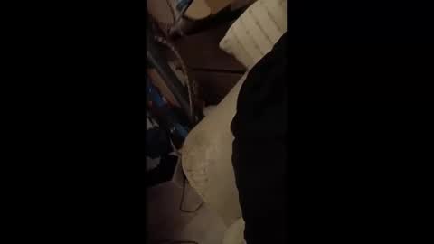 paulobascet online show from 01.12.25