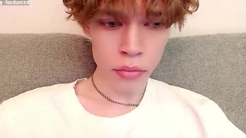 pawclaw online show from 12.20.25