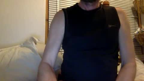 pea23 online show from 03.03.25