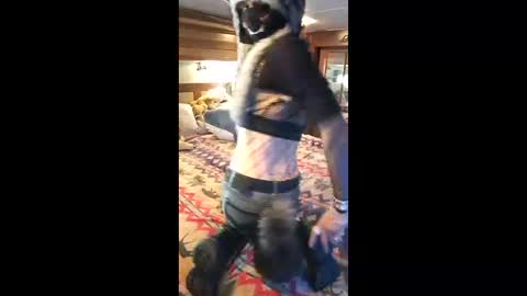 Pearl online show from 04.19.26