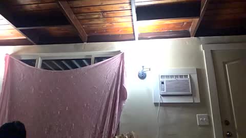 pebblezmeowkitty online show from 10.23.25