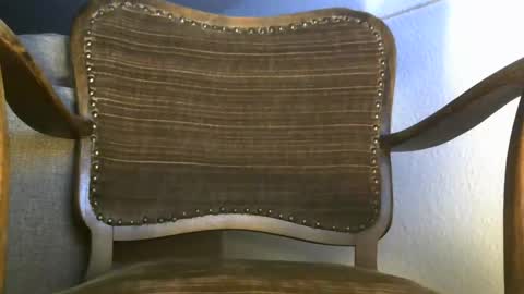 pedad1983 online show from 11.20.25