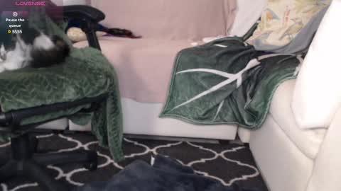 NEXT CHILL SESH  1130 930pm -ish PEEK online show from 03.06.25