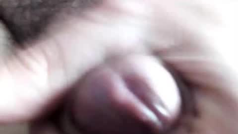 Snapshot of peiboluna chatting on 02.11.25 peiboluna online show from 02.11.25