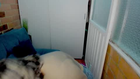 Penelope online show from 03.11.26