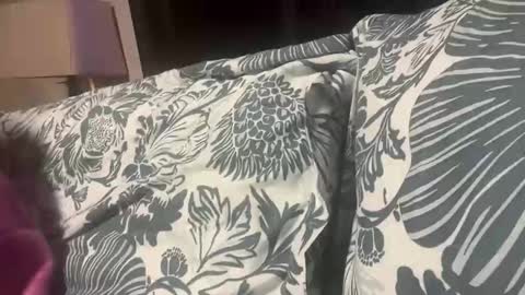 penutbutter691 online show from 11.19.25