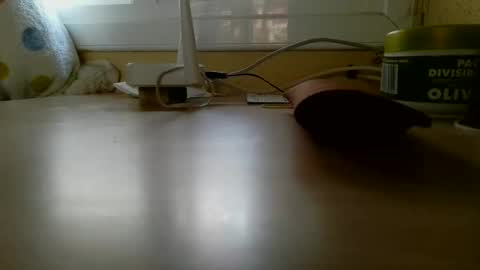 Snapshot of perales_12345 chatting on 01.18.26 perales_12345 online show from 01.18.26