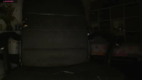 Snapshot of peregrintpelfox chatting on 11.30.25 peregrintpelfox online show from 11.30.25