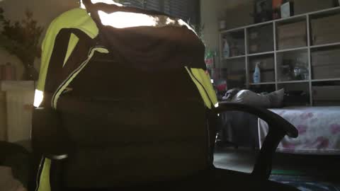 Snapshot of peregrintpelfox chatting on 12.16.25 peregrintpelfox online show from 12.16.25