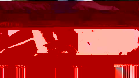 perfecto337 online show from 02.15.25