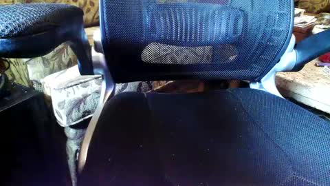 perfecto337 online show from 09.11.25