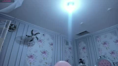 PERLA online show from 03.06.25