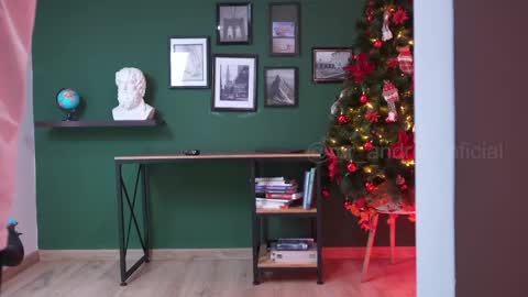 andres    online show from 12.28.24