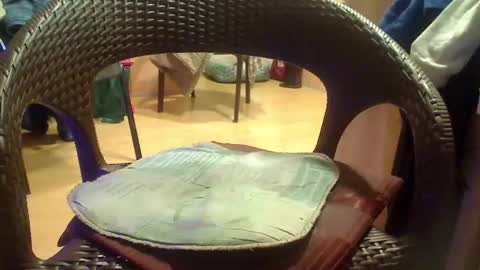 peta000007 online show from 12.04.25