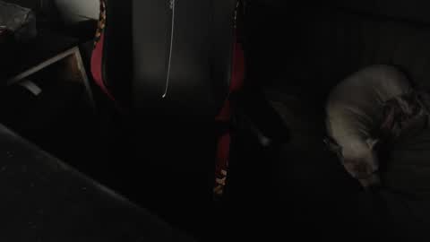 Snapshot of peterbeater2 chatting on 02.21.25 peterbeater2 online show from 02.21.25