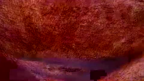 peterpeteropoulos online show from 07.20.26