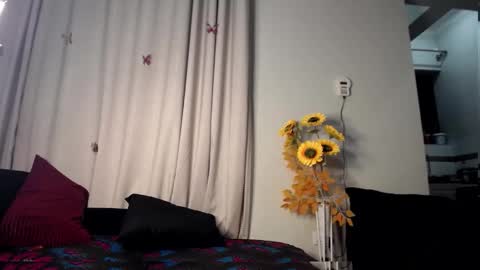 Snapshot of petitebony2478 chatting on 03.09.26 ebonyshawtypetit online show from 03.09.26